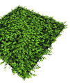 Jangal Modular Wall plantepanel 52 x 52 cm - Buxus